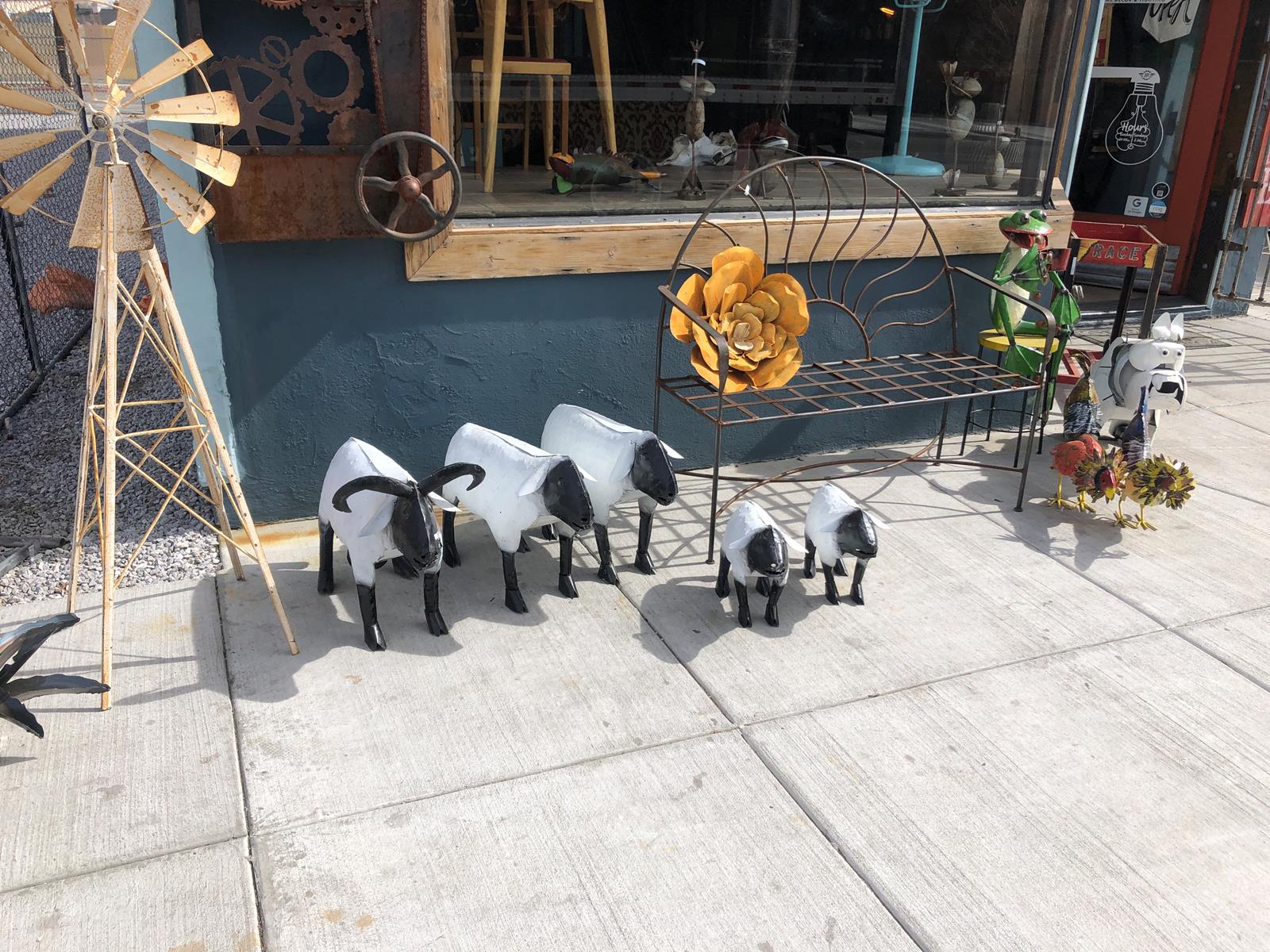 SMALL SHEEP 1