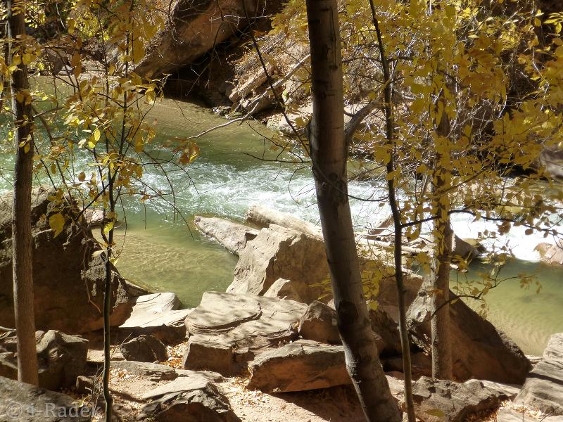 LG Electronics 5.5 cu.ft. Mega Capacity Top Load Washer, Graphite Steel